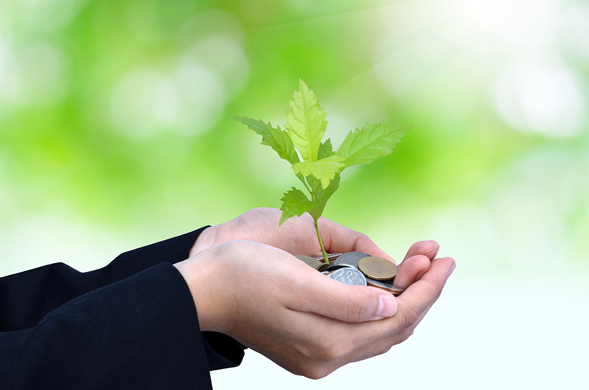 ways-to-give-hands-growing-plant-money