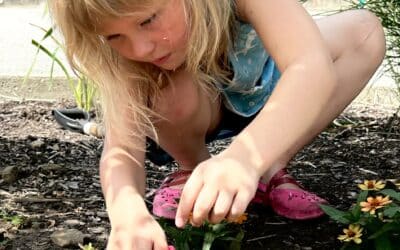 From “Weedville” to Beautiful Meadville!