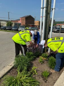 Three people wearing yellow safety vests and white hats are planting or tending to flowers in a small garden bed next to a street, with buildings, cars, and utility poles in the background.